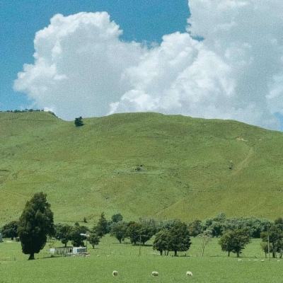 leyu·乐鱼中国官方网站