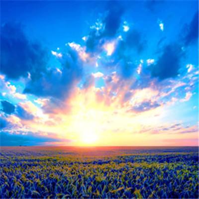 安博体育的最新版本app下载