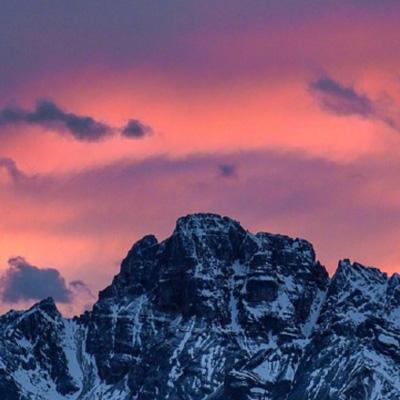 真人斗牛牛下载手机版