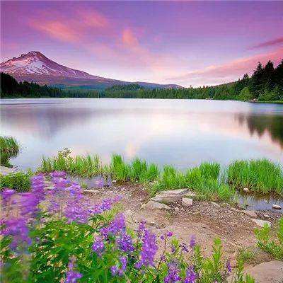 幸运28下载手机版