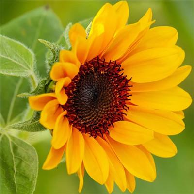 pk10赛车手机app下载截图