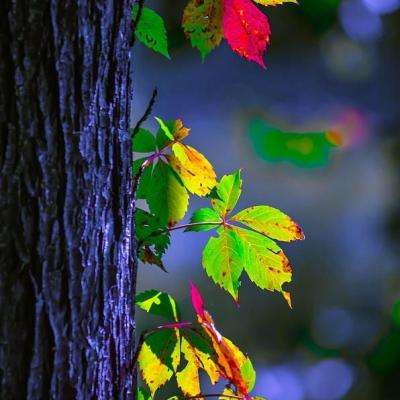 万博全站(ManBetX)下载手机版